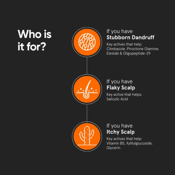 Minimalist Anti Dandruff Scalp Serum