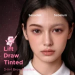 Pinkflash Lift & Set Brow Duo