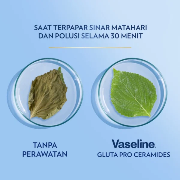 Vaseline Healthy Bright Perfect 10 Hand Body Lotion